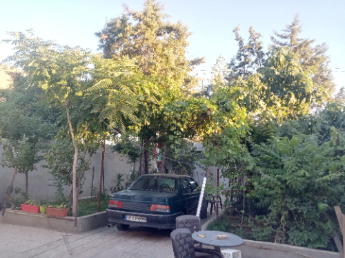 منزل ویلایی آقای حمیدی - مشهد-بلوار وکیل آباد(اولویت بانوان)