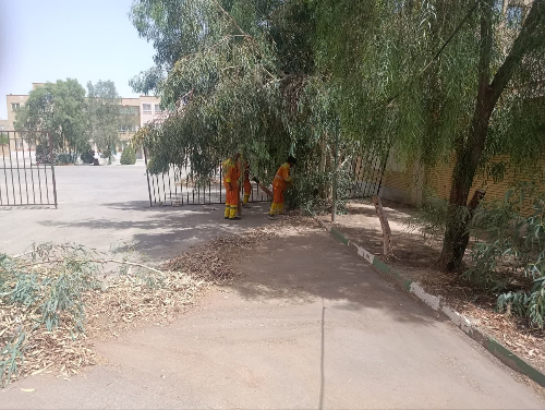 01KWQ3Z0M8FWSTNKDDKRBB3Z8G